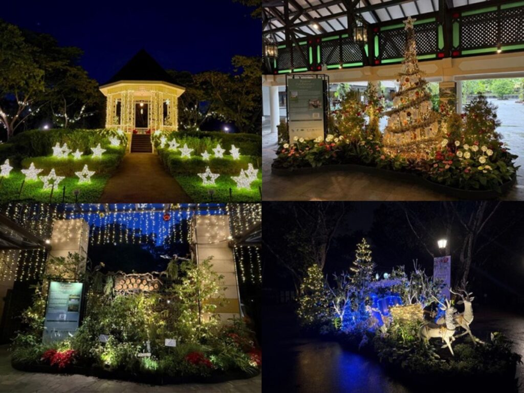 Trees of the World is one of the relaxing christmas activities outdoors singapore