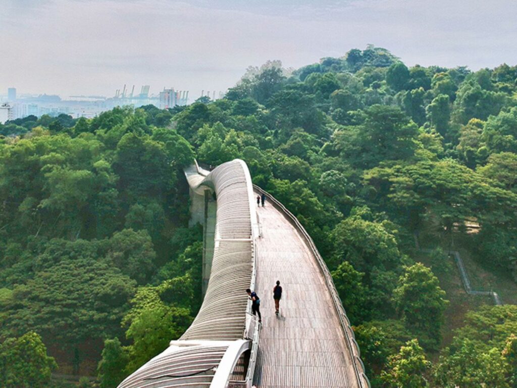 Sunrise picnic and nature walk for couples planning early morning date ideas
