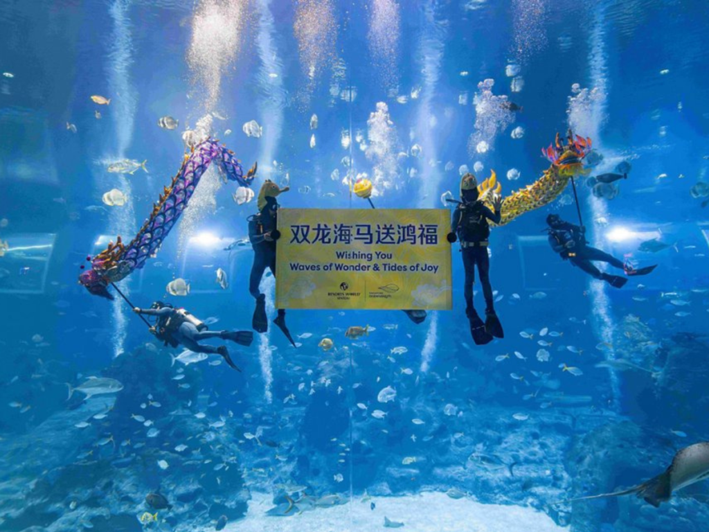 Lunar New Year events Singapore at Singapore Oceanarium with underwater performances
