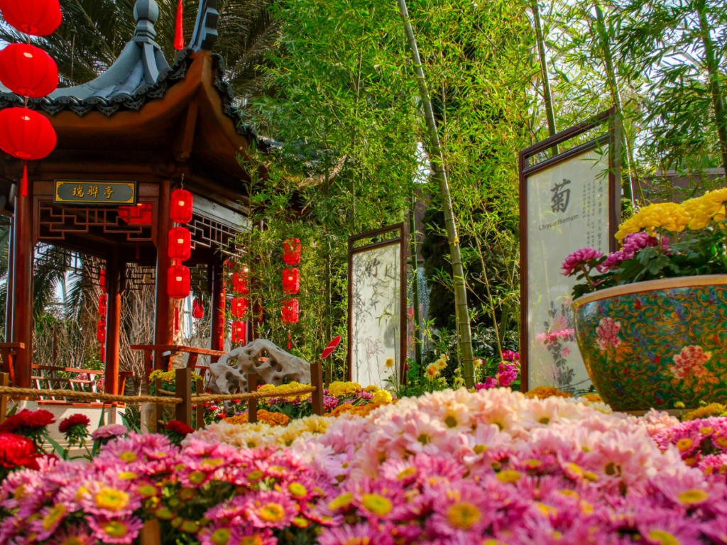 Romantic Chinese New Year activities at Gardens by the Bay Flower Dome with lanterns and spring blossoms