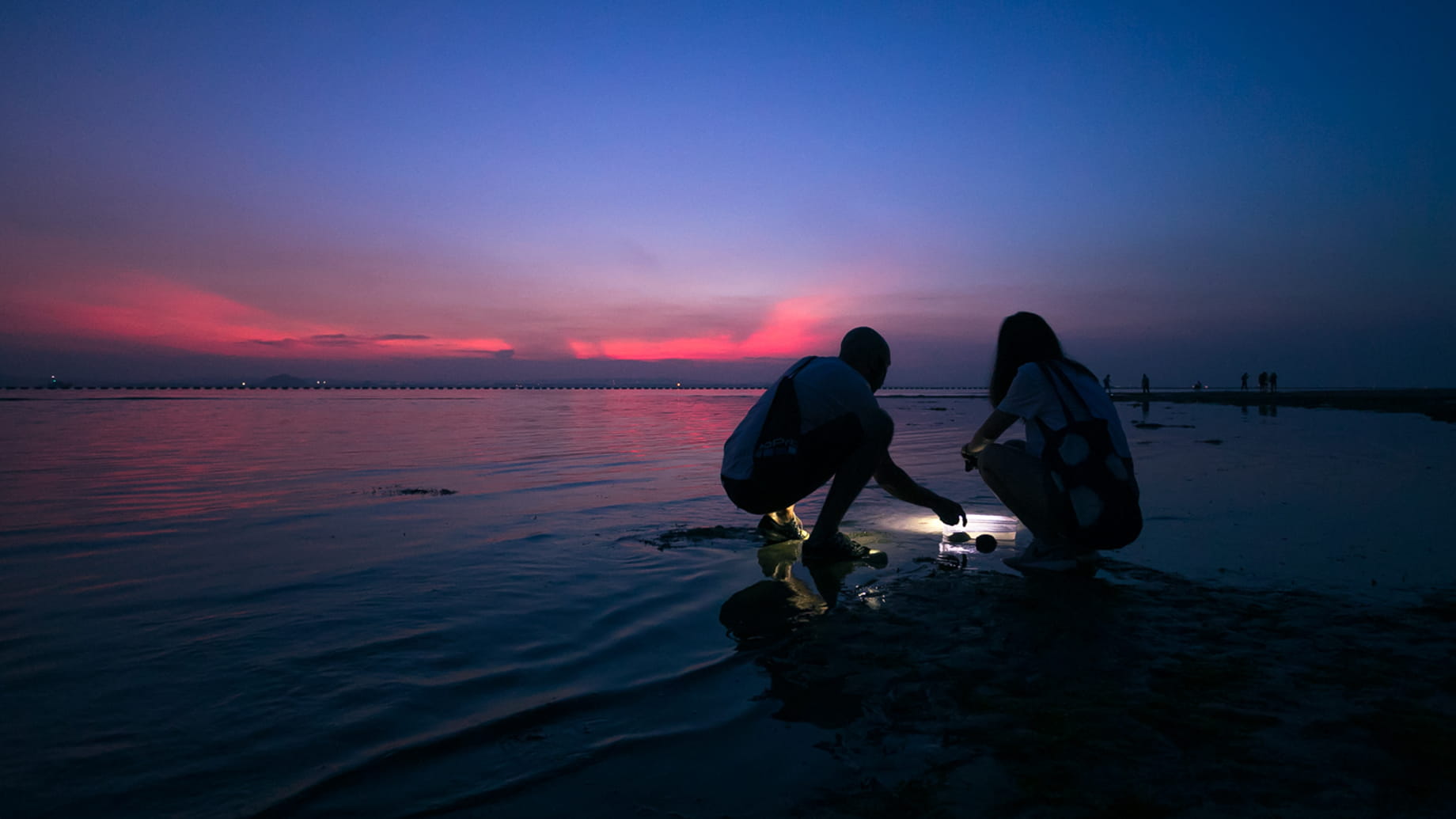 Sentosa Intertidal Explorations Gallery 1