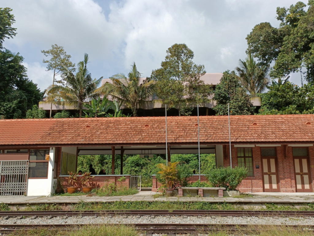 free date activity for couple in singapore at The Rail Corridor Singapore nature trail
