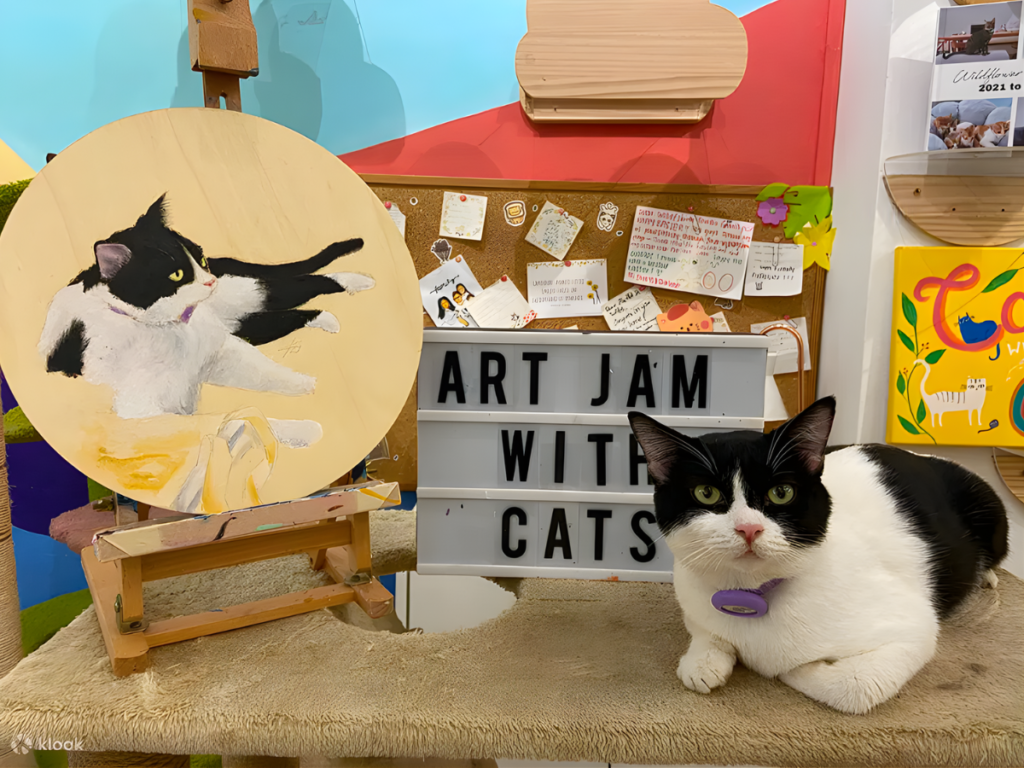 Wildflower Studio art workshop for couple Singapore paint with cats experience
