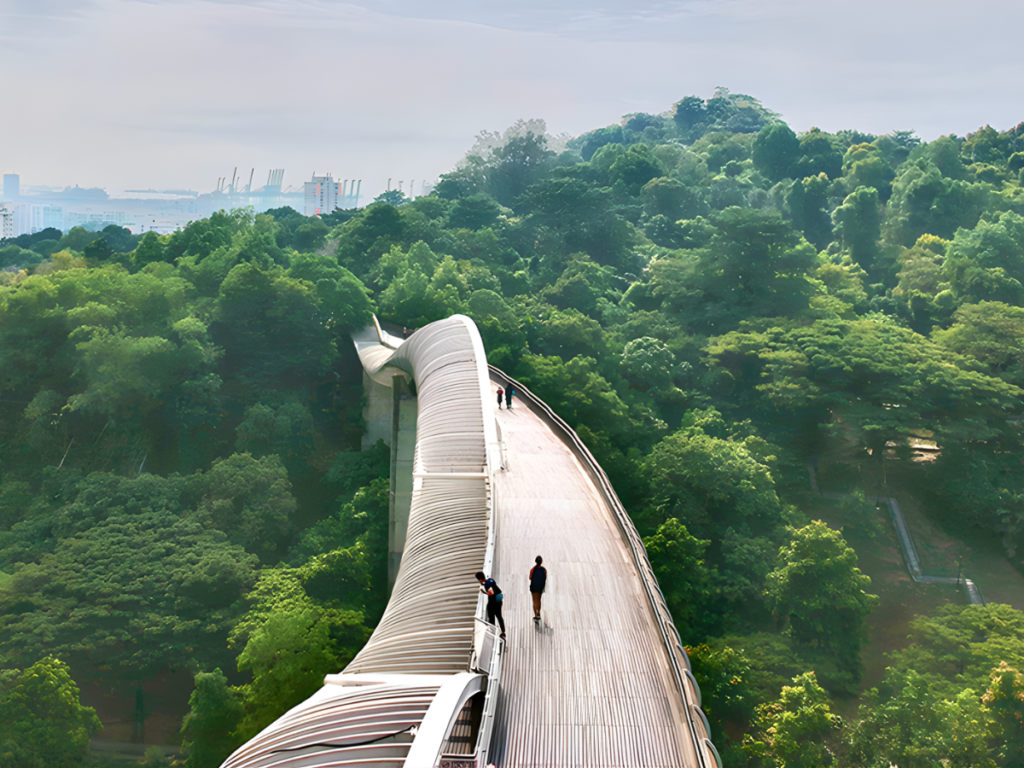free things to do in singapore for couples at Henderson Waves Southern Ridges sunset walk
