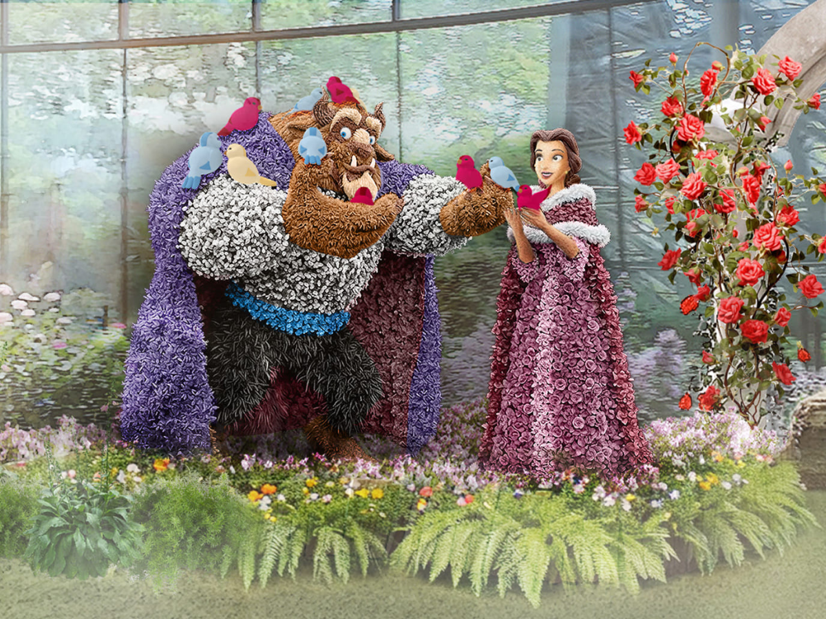 Beauty Beast