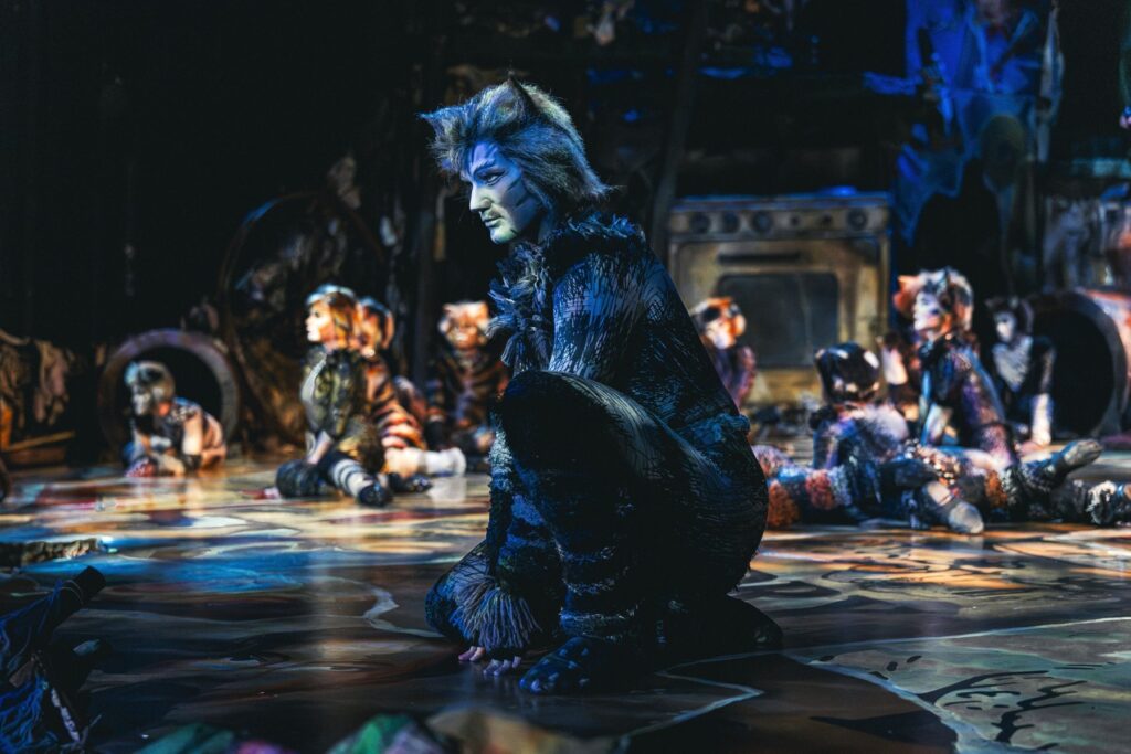 Munkustrap crouching in the junkyard with the Jellicle Cats behind him in Cats the Musical