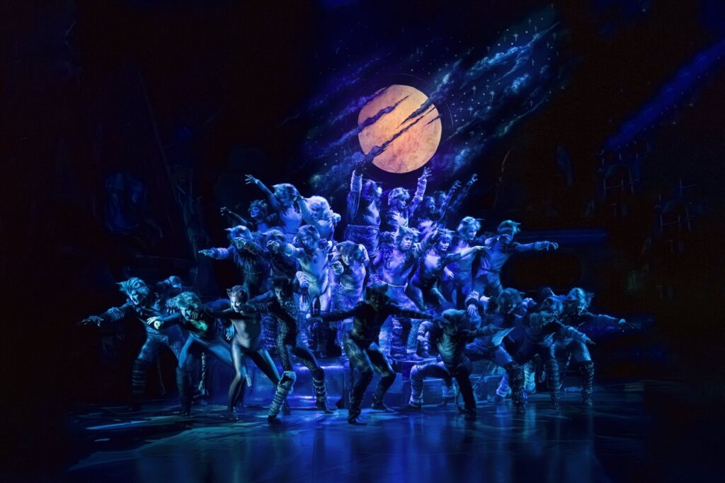 The Jellicle Cats gathered in blue stage lighting in Cats the Musical
